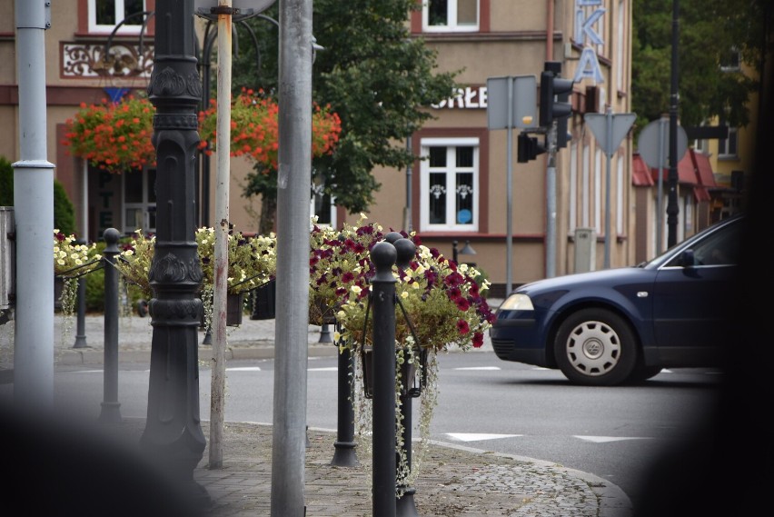 Sprawdziliśmy najnowsze dane Wojewódzkiego Urzędu Pracy w...