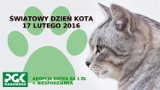 Schronisko dla zwierząt w Radomsku: Adoptuj kota za złotówkę!