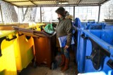 Poznań: Limit na odpady zielone wykorzystany, a liście wciąż trzeba sprzątać