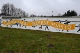 Imponujący mural na garażach na Osadzie Jana w Tarnowskich Górach jest już gotowy. Zobaczcie zdjęcia