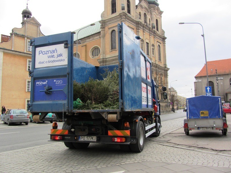 Poświąteczna zbiórka choinek w Poznaniu [ZDJĘCIA]