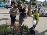 Sadzonki drzew za elektroodpady - kolejna akcja PGK w Radomsku