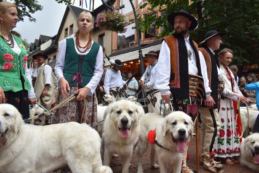 Zakopane. Festiwal Folkloru wystartował na całego. Górale świata tańczyli i śpiewali na Krupówkach