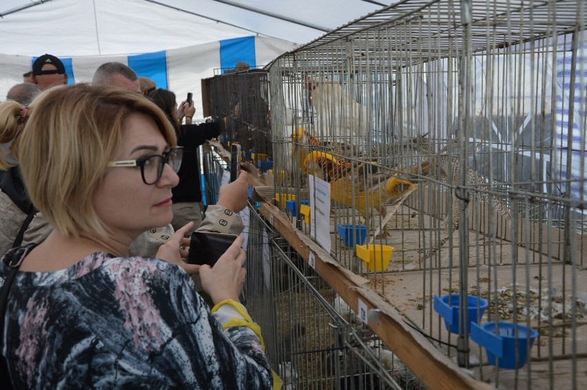 Barzkowickie Targi Rolne 2022. Część 1 galerii