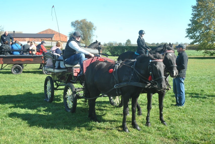 GMINA ŚMIGIEL. Hubertus w Żegrówku przy pięknej pogodzie [ZDJĘCIA] 