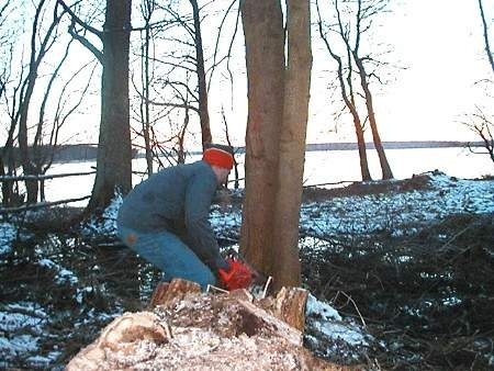Krzysztof Pawelczyk wycina zbędne krzaki i drzewa