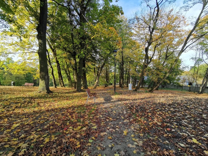 Park w Kościelcu w Chrzanowie