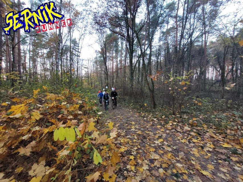 Grupa NadAktywni Nowe Miasteczko. "Sernik Runner" dla Mai...