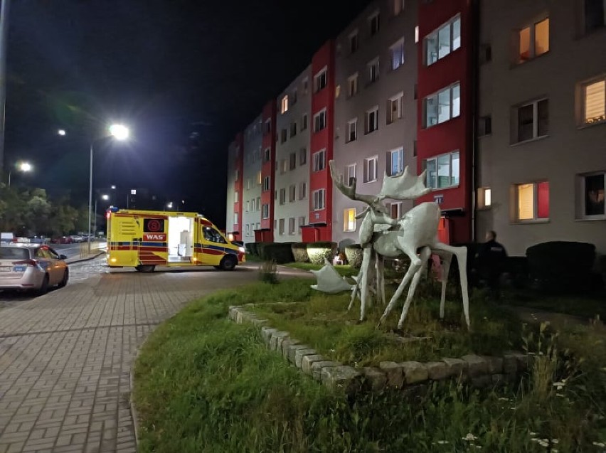 Tragedia w budynku przy ul. Broniewskiego w Wałbrzychu na...