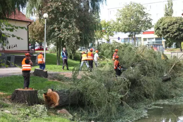 Inwestycje w Chodzieży: Ruszyły prace w parku Ostrowskiego [FOTO]