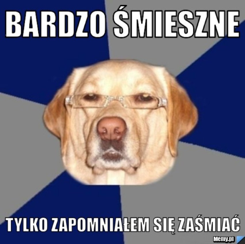 Dziś Międzynarodowy Dzień Psa [memy]