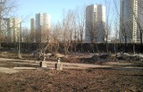 Katowice: Władze miasta będą się konsultowały z mieszkańcami w sprawie przebudowy parku Bogucickiego