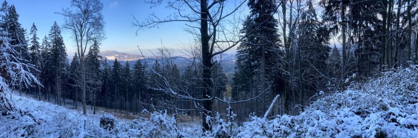 Wycieczka na Dzikowiec w Boguszowie-Gorcach