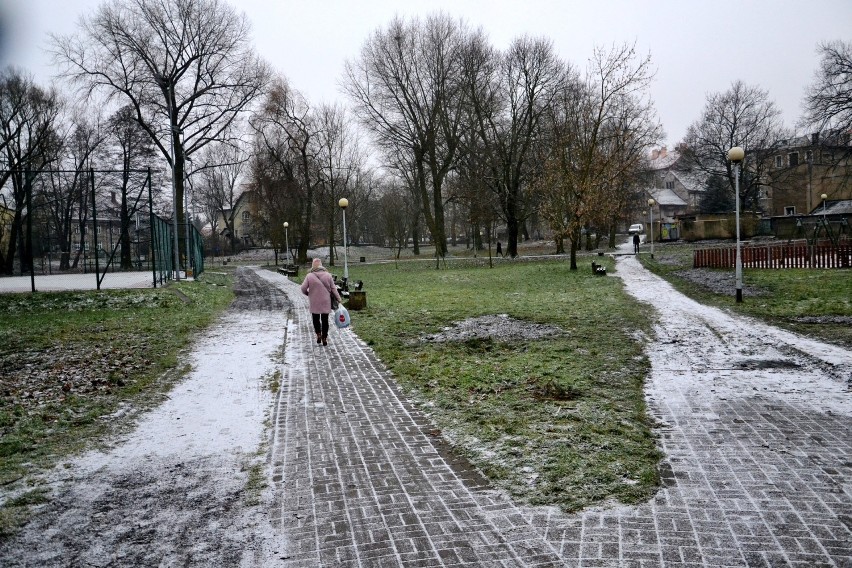 Zmiany w parku Sowińskiego. Mieszkańcy są oburzeni [ZDJĘCIA]