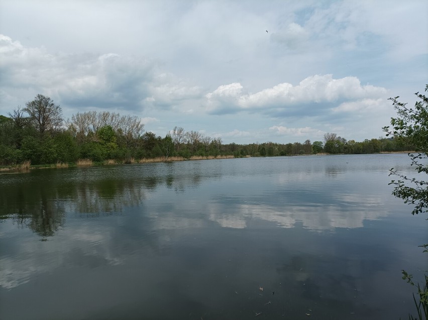 Podgórzyńskie stawy i Aquakultura. Zobaczcie, jak tam pięknie!