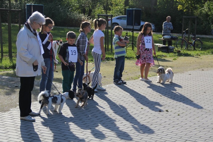 Syców: Wystawa zwierząt osiedlowych