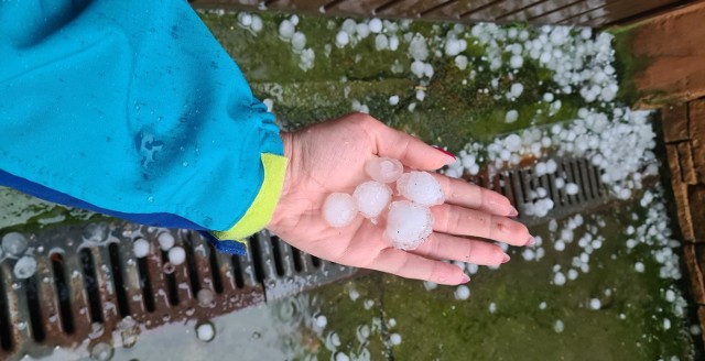 Grad leciał z nieba w Małopolsce. Zniszczył uprawy, to katastrofa dla rolników