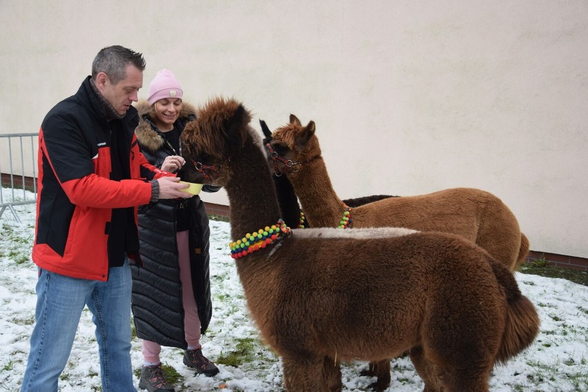 Trwa turniej charytatywny w Szczecinku. Licytacje dla Jasia i Filipa [zdjęcia]