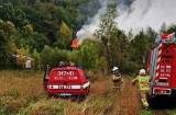 Pożar w górach pod Nowym Sączem. Trudno było do ognia dojechać i dostarczać wodę