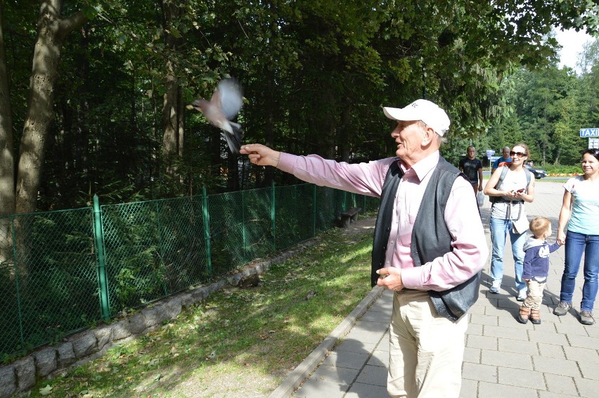 Zakopane. Pan Henryk dokarmia dzikie zwierzaki [ZDJĘCIA]