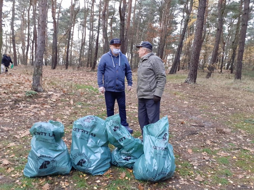 Stowarzyszenie "Pod Lasem". Seniorzy z Osiedla Winiary regularnie sprzątają las winiarski, ale nie tylko. ZDJĘCIA