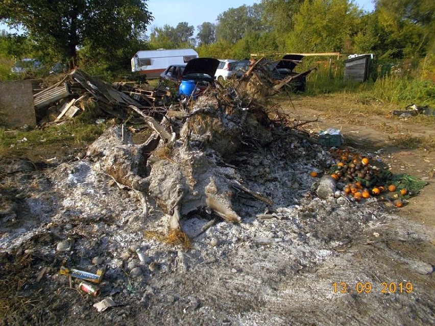 Notoryczne spalał śmieci i składował nielegalne odpady. Szereg nieprawidłowości w trakcie jednej kontroli 