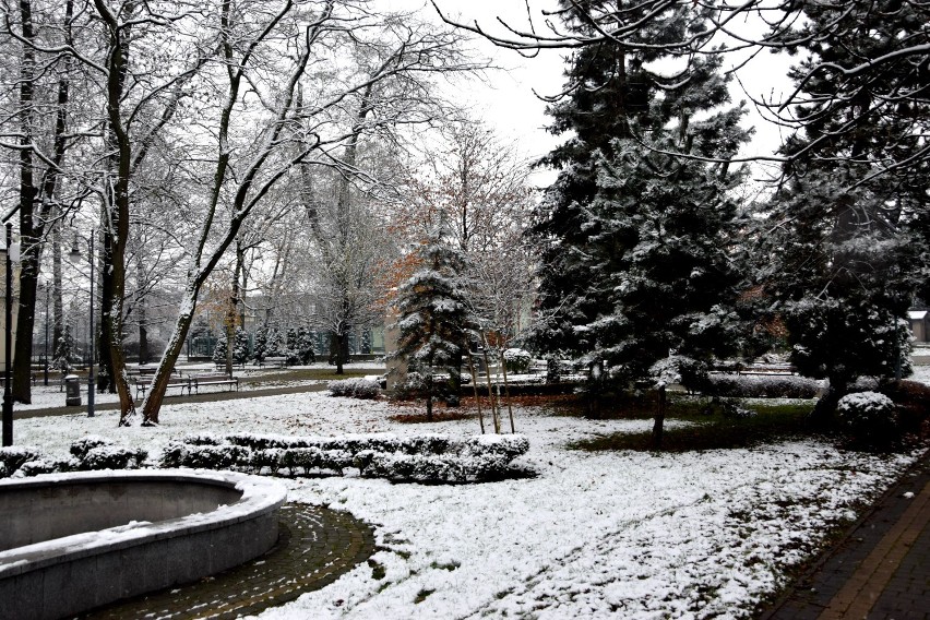 Zima w centrum Jarosławia. Zobaczcie jak wygląda dzisiaj Park Miejski im. Baśki Puzon [ZDJĘCIA]