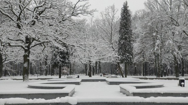 Park Zielona w Dąbrowie Górniczej w zimowej odsłonie Zobacz kolejne zdjęcia/plansze. Przesuwaj zdjęcia w prawo - naciśnij strzałkę lub przycisk NASTĘPNE