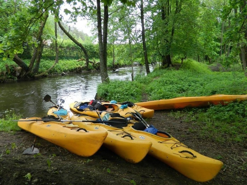 Wyjątkowe miejsca na Kaszubach - Loryniec. Ta wieś znajduje się na terenie Wdzydzkiego Parku Krajobrazowego ZDJĘCIA