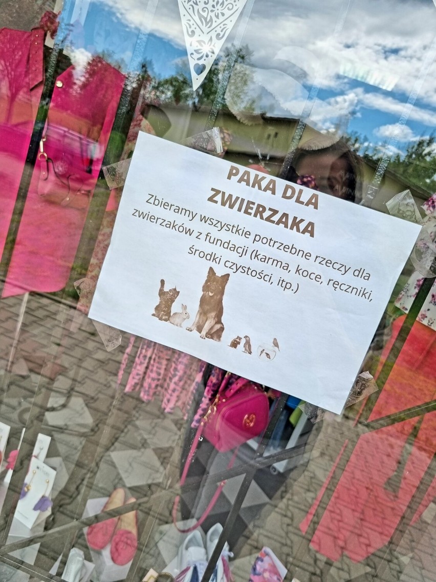 Trwa zbiórka karmy dla bezdomnych psów na Podzamczu w...