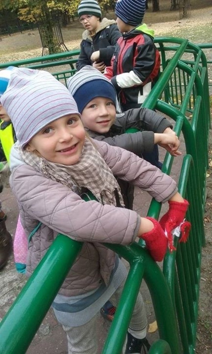 Dzieci odwiedziły śląskie zoo