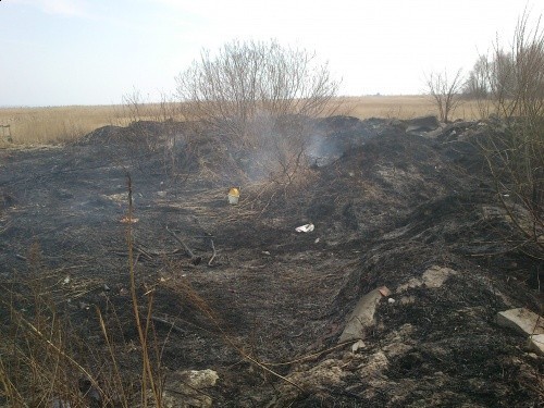 W Kątach Rybackich paliła się trzcina. Strażacy z OSP Sztutowo musieli gasić ogień [ZDJĘCIA]