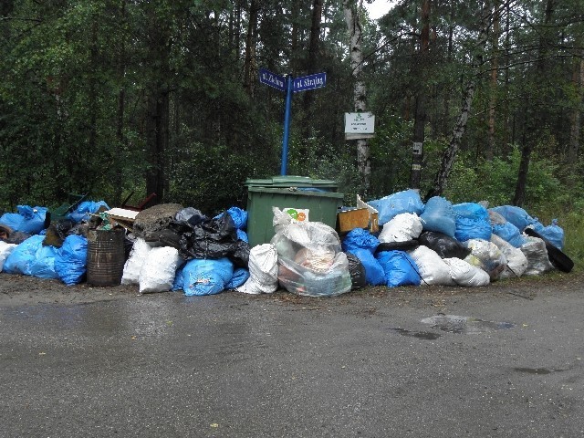 W ubiegłym roku w trakcie akcji wywieziono tony śmieci