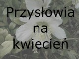  Przysłowia na kwiecień. Prima aprilis: nie czytaj, nie słuchaj, bo się omylisz!