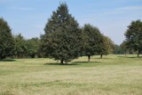 Na Kamieńcu w Oświęcimiu powstanie Park Pojednania Narodów