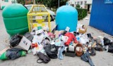 Duże rodziny w gminie Aleksandrów zapłacą mniej za odbiór śmieci