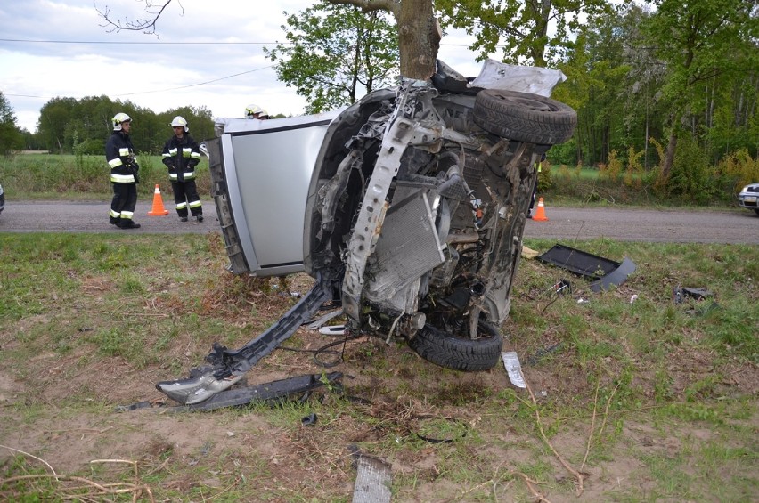 Wypadek w powiecie lipnowskim. Kierowca forda, który wylądował na drzewie, miał ponad 3 promile [zdjęcia]