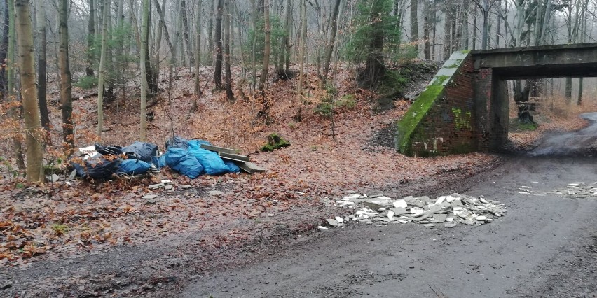 Nadleśnictwo Wałbrzych szuka śmieciarza, który wyrzucił śmieci w lesie