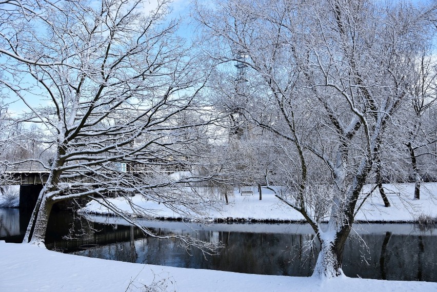 Zimowy spacer po Pasiece - okolice Młynówki
