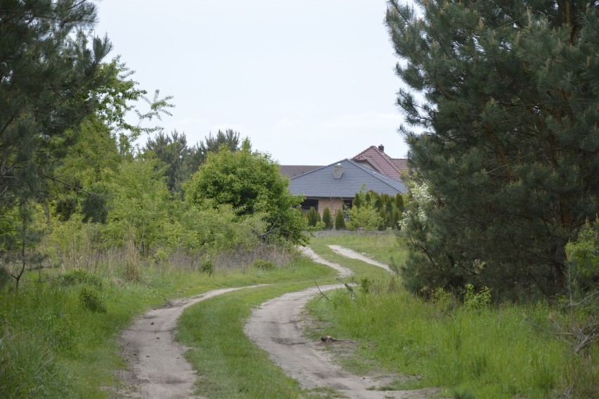 Wielka, piękna działka, na której ma być osiedle domów...