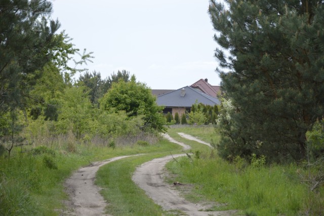 Wielka, piękna działka, na której ma być osiedle domów jednorodzinnych, sąsiaduje z domami w Kłodawie