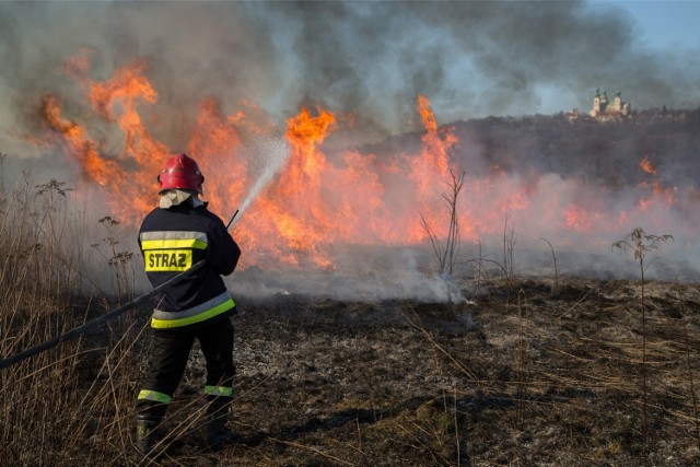 Wypalanie traw może skończyć się tragicznie: pożarem lasu albo pobliskich domostw