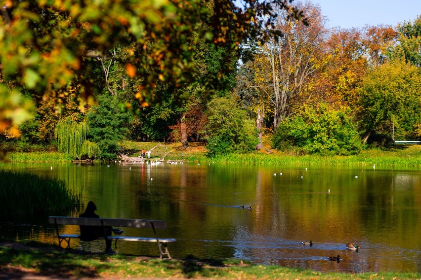 Park Skaryszewski zachwyca jesienią