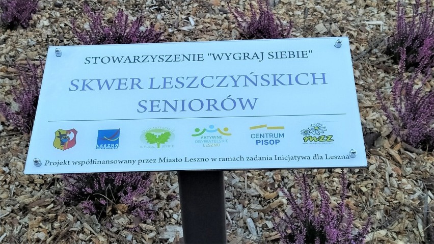Seniorzy z Leszna mają swój skwer. Miejsce pełne wrzosów znajduje się przy ulicy Leszczyńskich