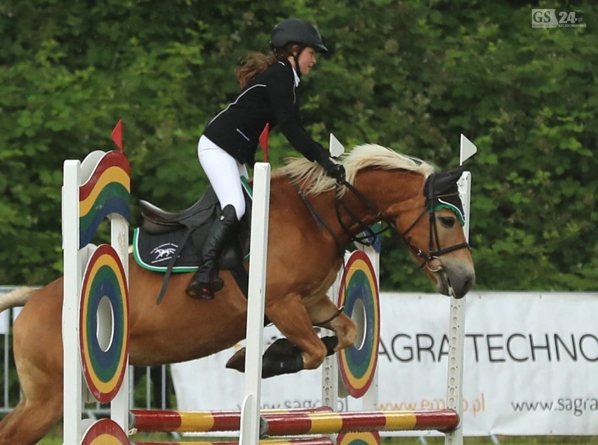 Sedina Horse Show 2017. Konne widowisko w strugach deszczu [zdjęcia]