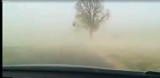 "Burza piaskowa" w regionie Wągrowca. Zobaczcie filmy 