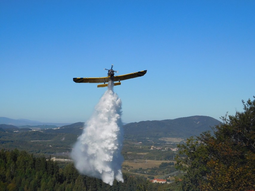 W Wałbrzychu pali się las. W akcji gaszenia biorą udział samoloty gaśnicze 