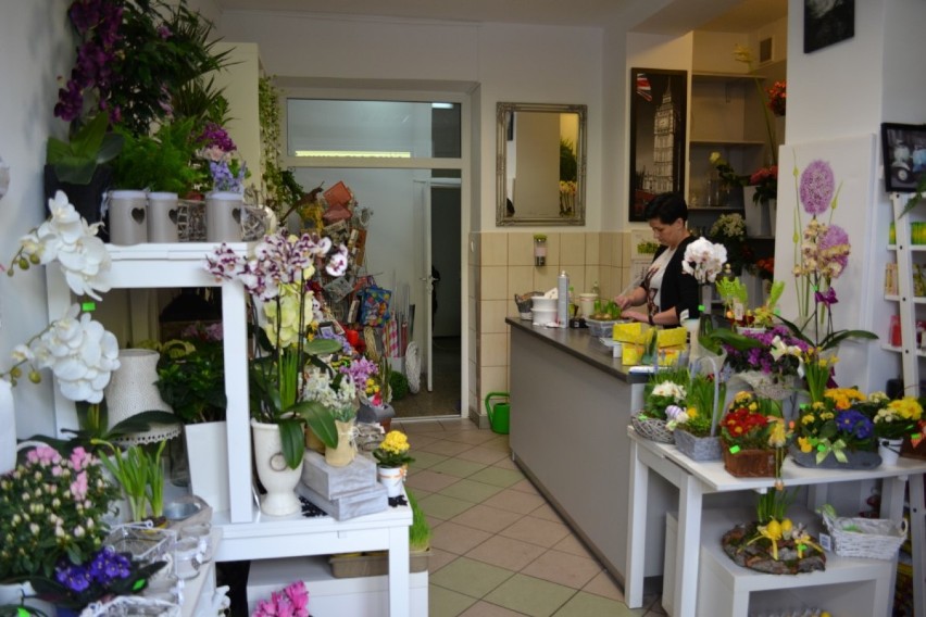 Mistrzowie Handlu 2015 - Kwiaciarnia Roku - Kwiaciarnia Krystyna w Kartuzach