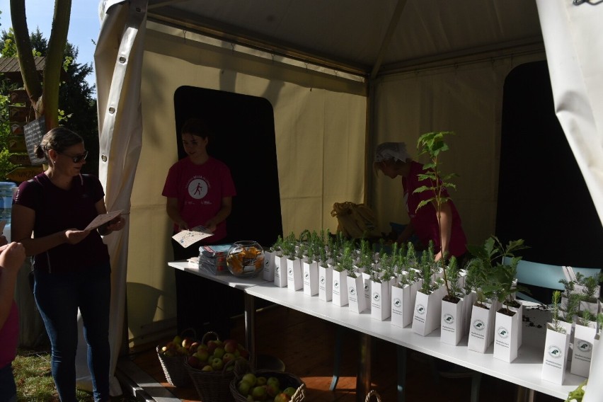 Tym razem jest to ekologiczno-zdrowotny piknik ekoNEUCAthon...