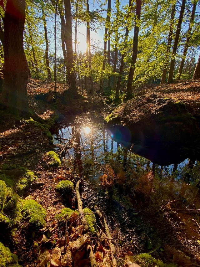 Foto Powiat Pucki: Białogóra i okolice